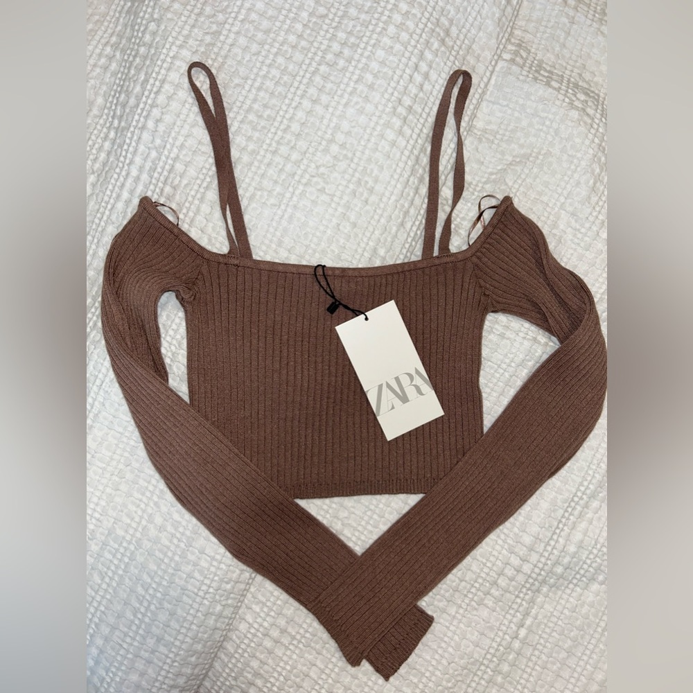 ZARA brown ripped long sleeve crop top (US S)